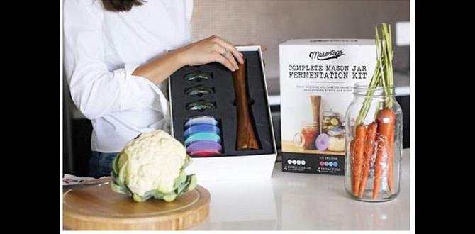 fermented vegetables gut health fermented vegetables gut health