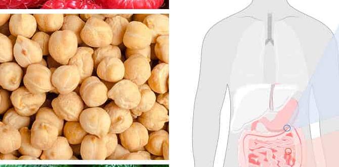 fiber rich foods for gut health fiber rich foods for gut health