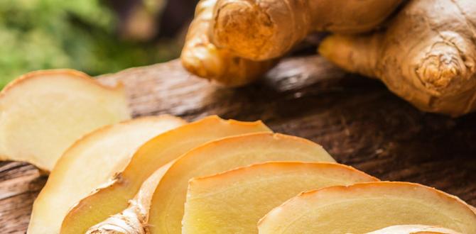 ginger gut health drinks ginger gut health drinks