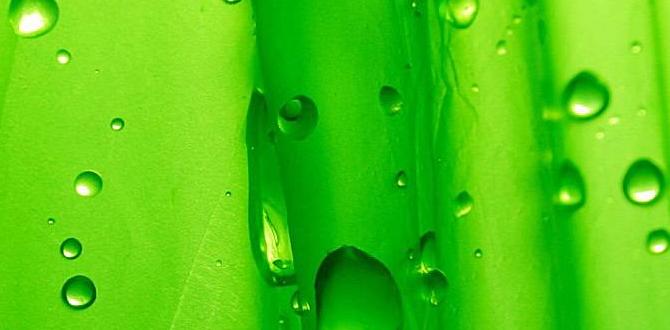 green tea benefits for body detoxification green tea benefits for body detoxification