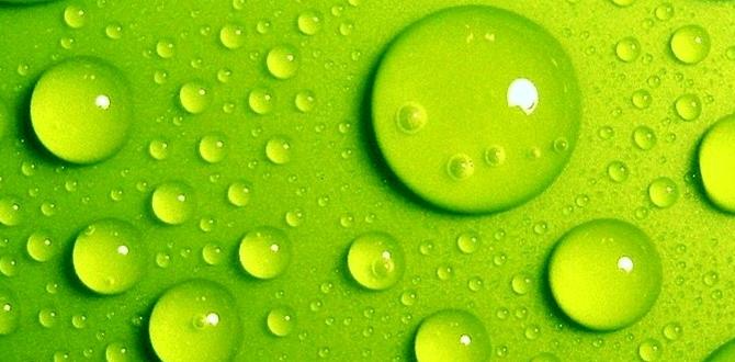 green tea polyphenols gut green tea polyphenols gut