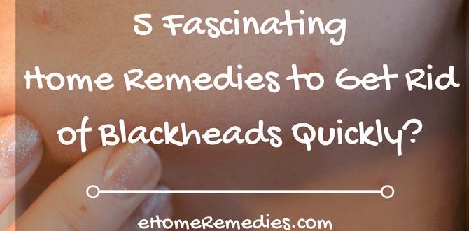 guide to blackheads remedies guide to blackheads remedies