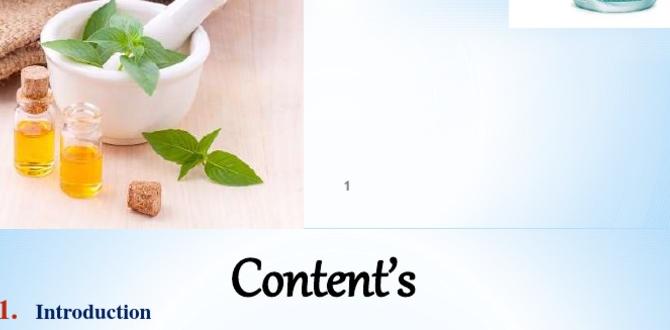 guide to herbal skincare care guide to herbal skincare care