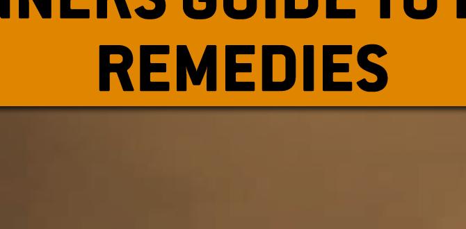 guide to herbal skincare remedies guide to herbal skincare remedies