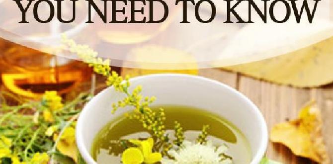 guide to natural remedies tips guide to natural remedies tips