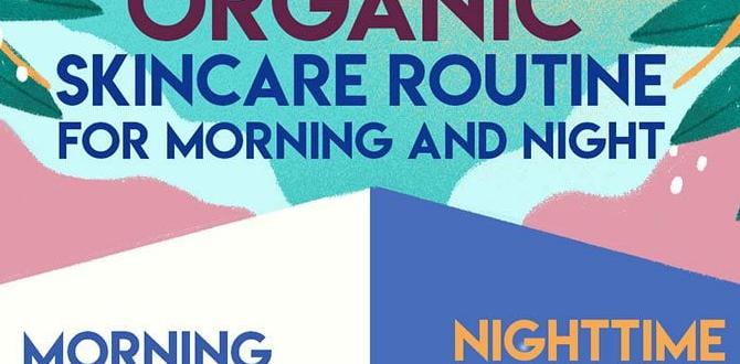 guide to organic skincare routine guide to organic skincare routine