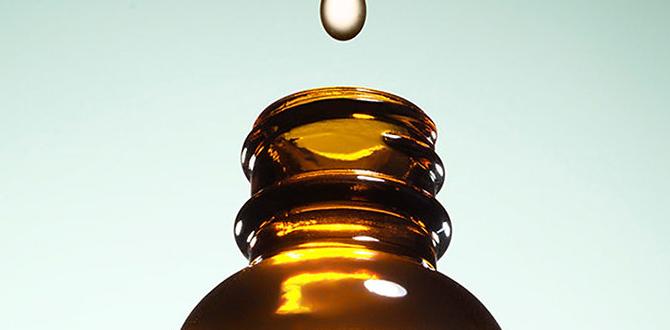 guide to serum care guide to serum care