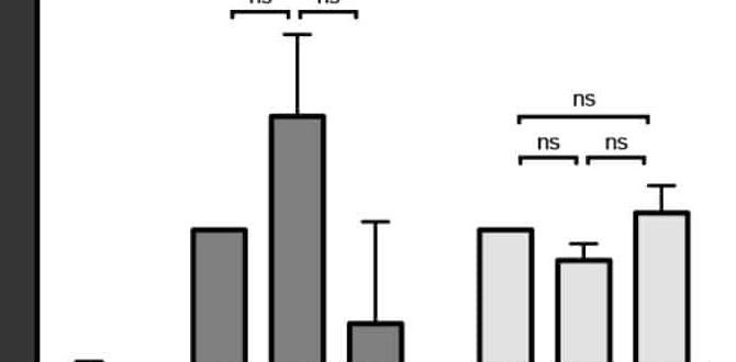 heal skin microbiome anti aging heal skin microbiome anti aging