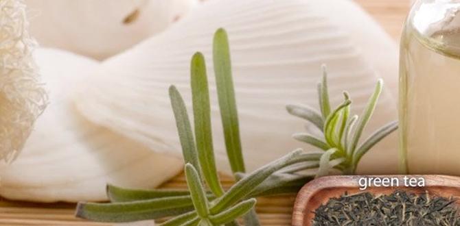 herbal detox baths for skin and body health herbal detox baths for skin and body health