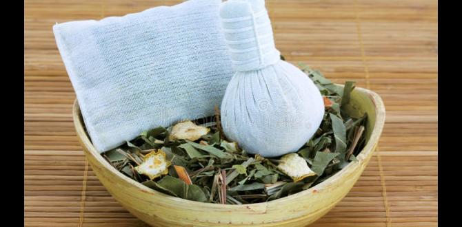 herbal steam bath benefits herbal steam bath benefits