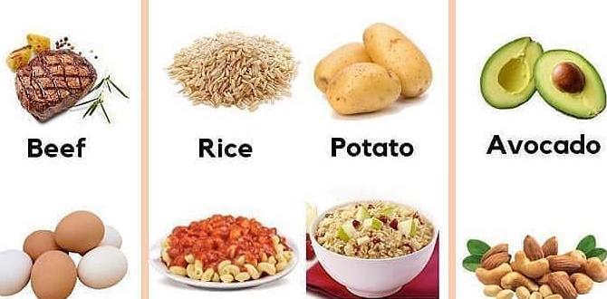 high protein foods for muscle gain high protein foods for muscle gain