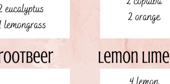 homemade essential oil blends for skin homemade essential oil blends for skin