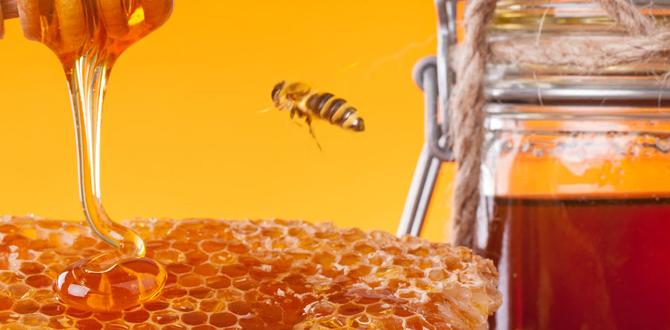 honey body mask benefits honey body mask benefits