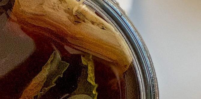 hormone detox cacao latte recipes hormone detox cacao latte recipes
