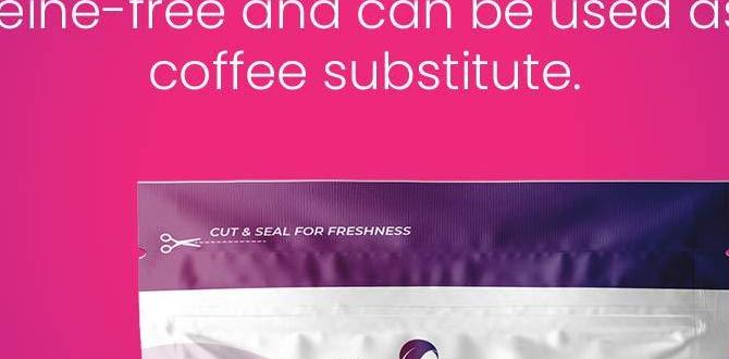hormone detox chicory root coffee hormone detox chicory root coffee