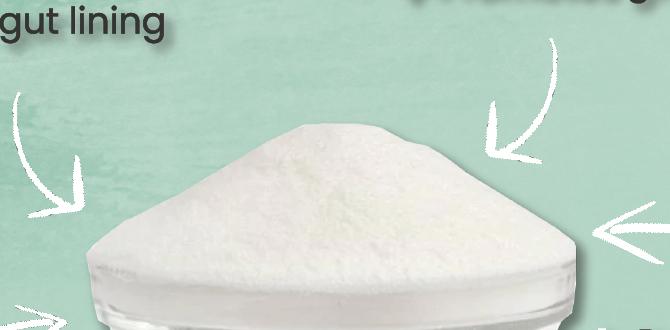 hormone detox collagen production hormone detox collagen production