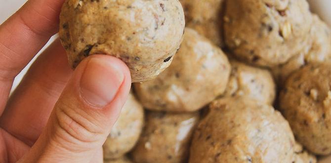 hormone detox date balls energy bites hormone detox date balls energy bites