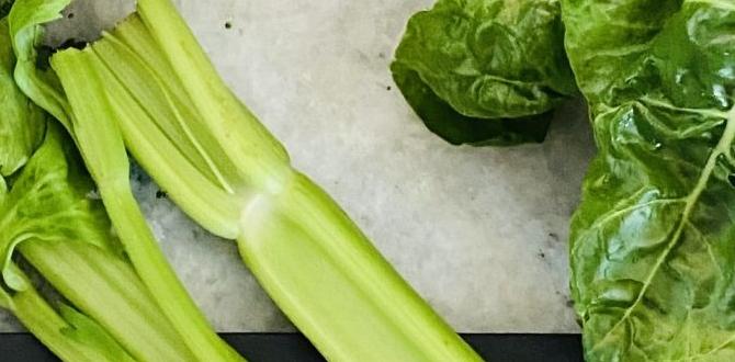 hormone detox detoxifying green soup hormone detox detoxifying green soup