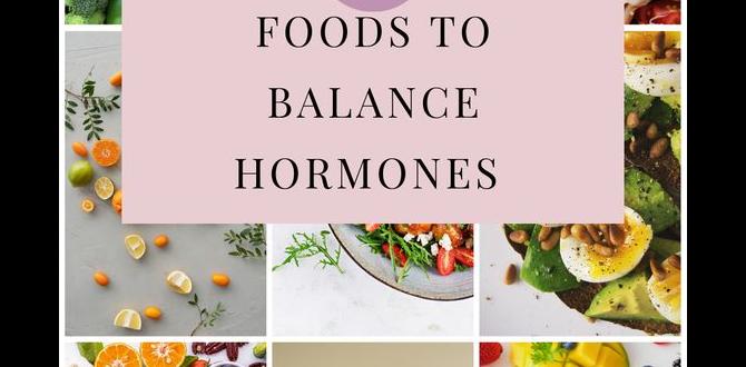 hormone detox fermented food intake hormone detox fermented food intake