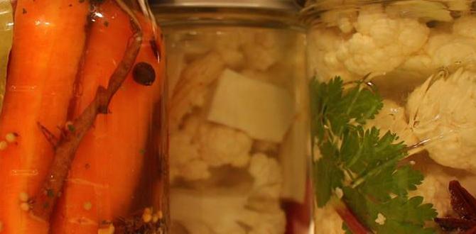 hormone detox fermented vegetable recipes hormone detox fermented vegetable recipes