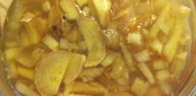 hormone detox ginger bug starter hormone detox ginger bug starter