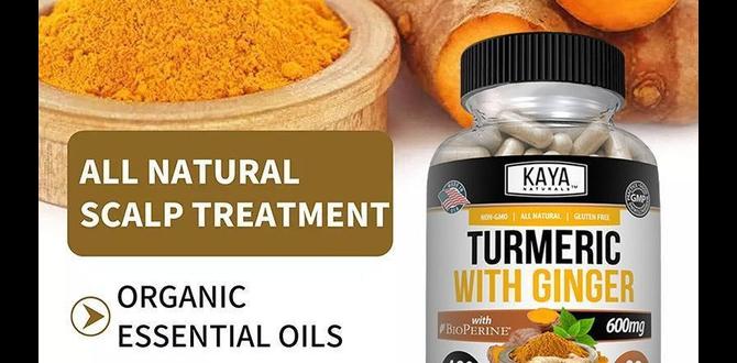 hormone detox ginger turmeric blend hormone detox ginger turmeric blend