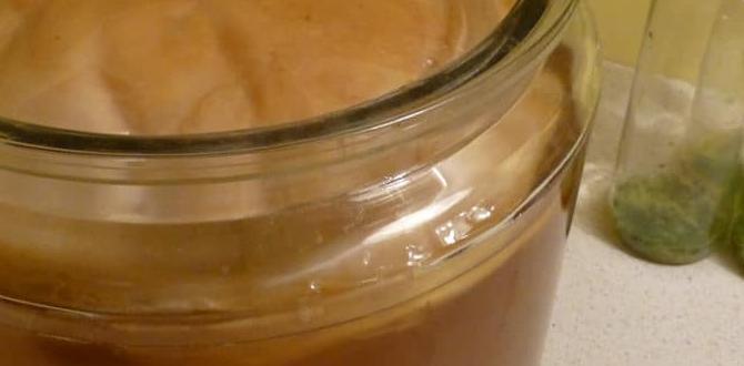 hormone detox kombucha brewing tips hormone detox kombucha brewing tips