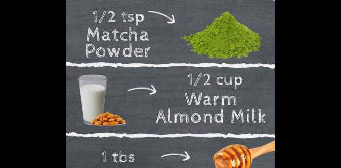 hormone detox matcha latte benefits hormone detox matcha latte benefits