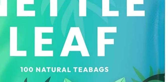 hormone detox nettle leaf tea hormone detox nettle leaf tea