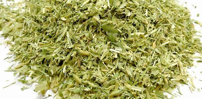 hormone detox oat straw infusion hormone detox oat straw infusion