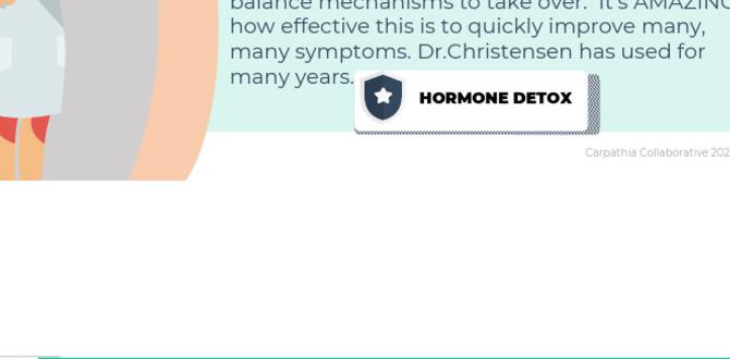 hormone detox pantry cleanse tips hormone detox pantry cleanse tips