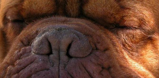 how long to sleep for muscle recovery how long to sleep for muscle recovery