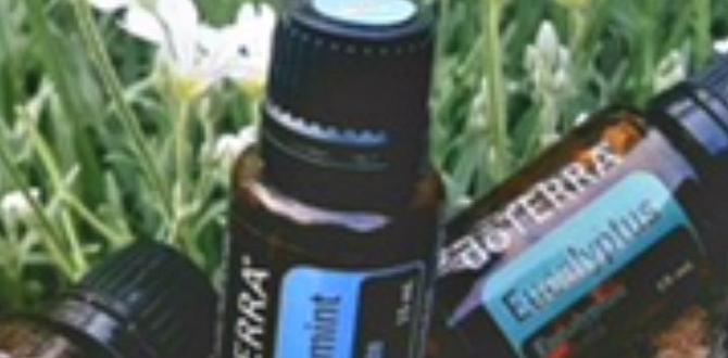 how to essential oils care how to essential oils care