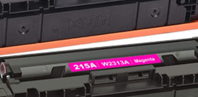 how to toner routine how to toner routine