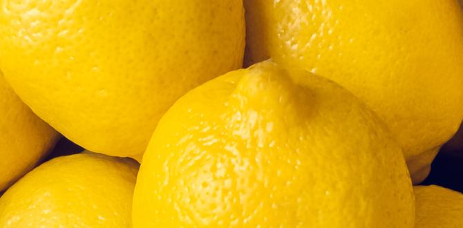 lemon sugar scrub for skin lightening lemon sugar scrub for skin lightening