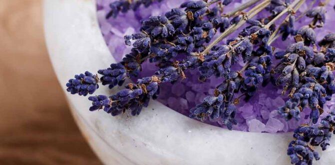 mineral rich bath salts benefits mineral rich bath salts benefits