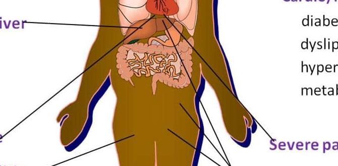 morbid obesity skin conditions morbid obesity skin conditions