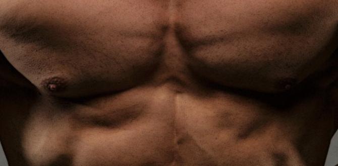 muscle building workouts for beginners at home muscle building workouts for beginners at home