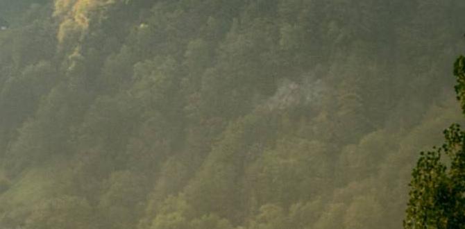 natural hyaluronic acid routine natural hyaluronic acid routine