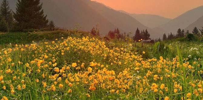 natural natural skin care tips for teens