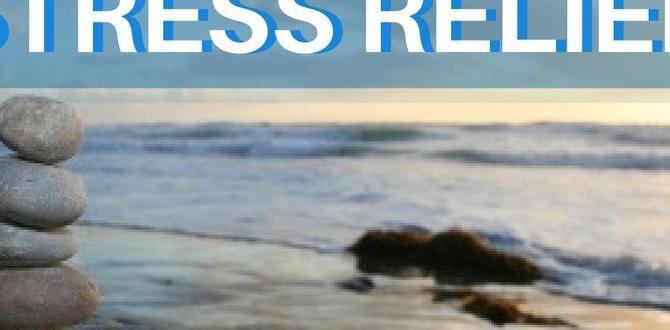 natural remedies for stress relief natural remedies for stress relief