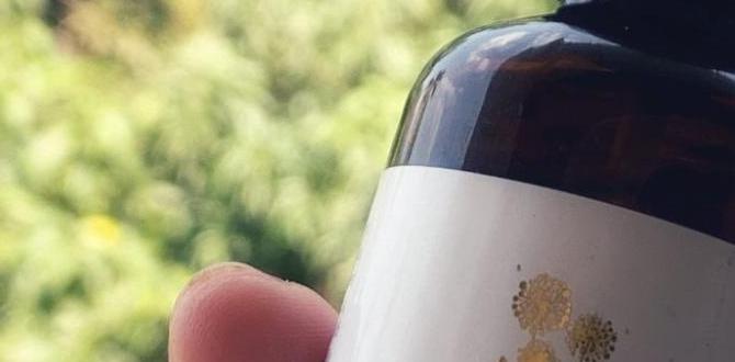 organic combination skin routine without toner organic combination skin routine without toner