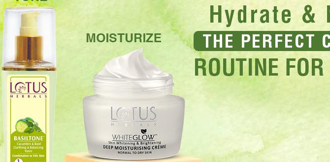 organic hydrating skin care routine for dry skin organic hydrating skin care routine for dry skin