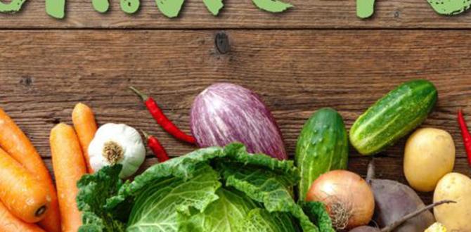 organic natural skin care tips before makeup organic natural skin care tips before makeup
