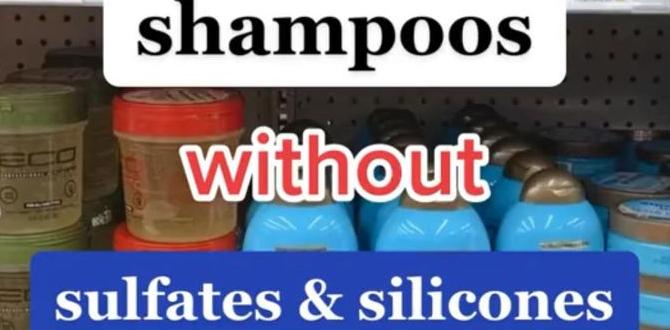 organic shampoos without sulfates organic shampoos without sulfates