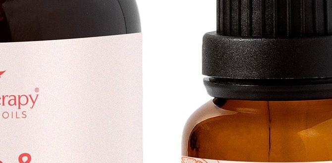 organic step by step skin care tips organic step by step skin care tips