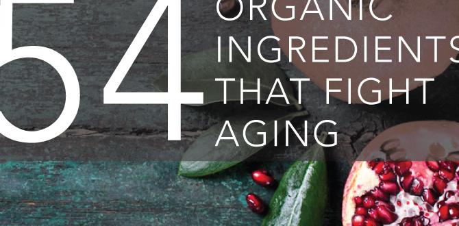 organic women's skin routine for aging skin organic women's skin routine for aging skin