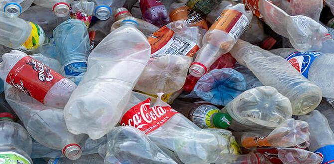plastic free shampoo options plastic free shampoo options