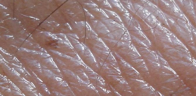 protect skin microbiome bacteria protect skin microbiome bacteria
