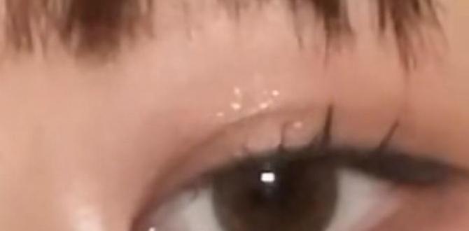 quick korean skin routine before makeup quick korean skin routine before makeup